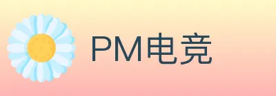 PM电竞 logo